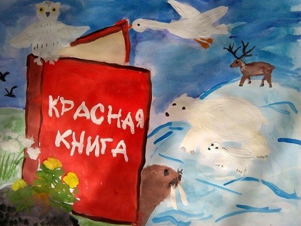 Рисунок на тему красная книга