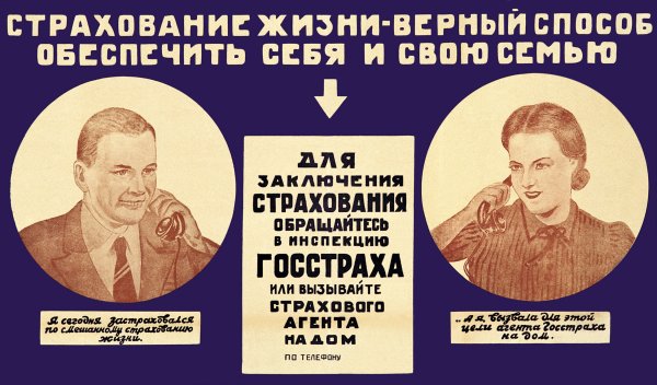 Страхование домашних животных в России