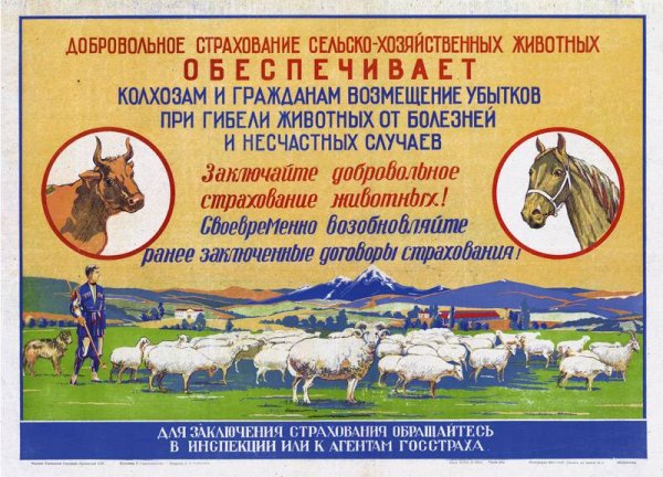 Росгосстрах дом