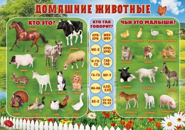 Здоровое питание основа процветания