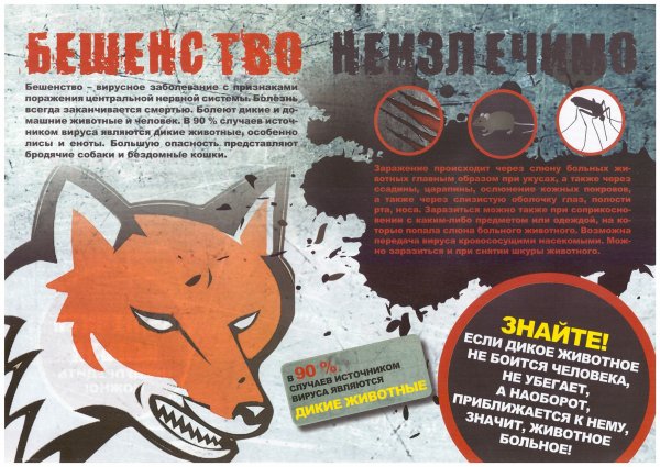 Памятка по бешенству