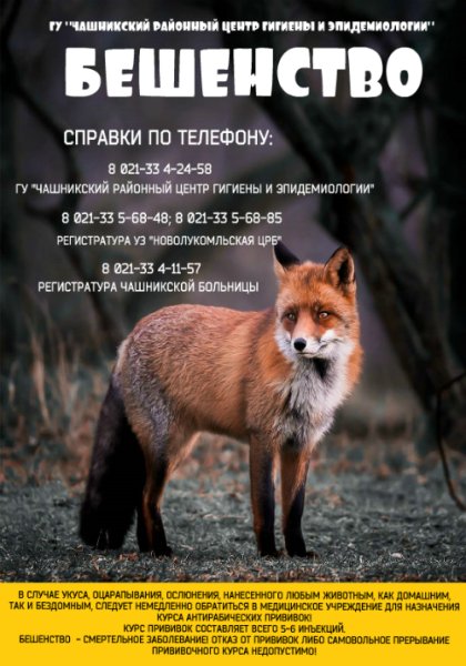 Сериал бешенство Постер