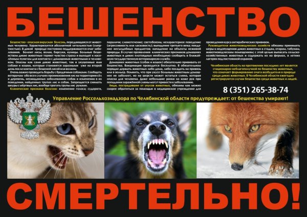 Профилактика бешенства у животных