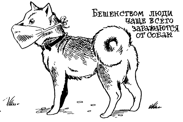 Плакат по бешенству