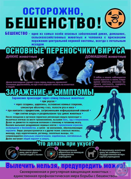 Профилактика при укусах животных