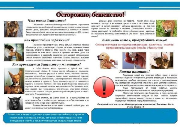 Бешенство Ветеринария брошюра