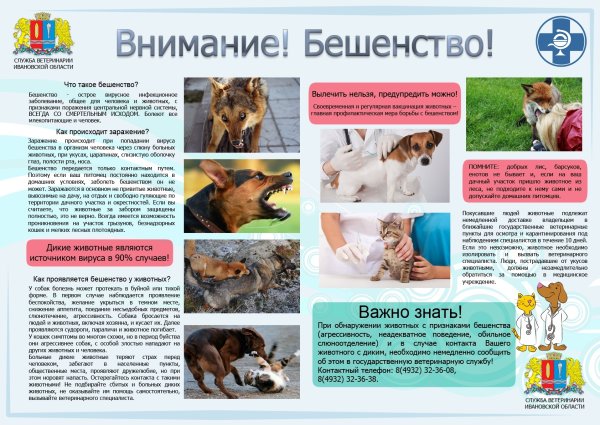 Бюллетень бешенство