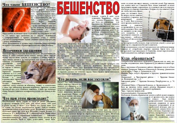 Профилактика бешенства памятка для детей