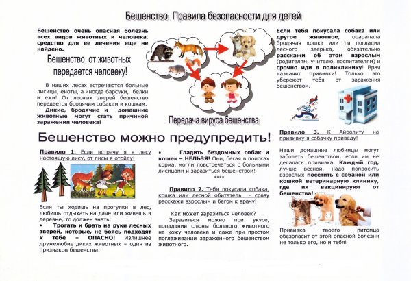 Санитарный бюллетень бешенство