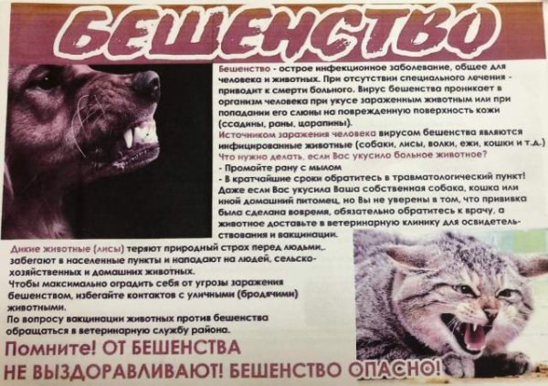 Памятка по бешенству