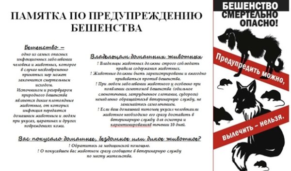 Иммунизация бешенства