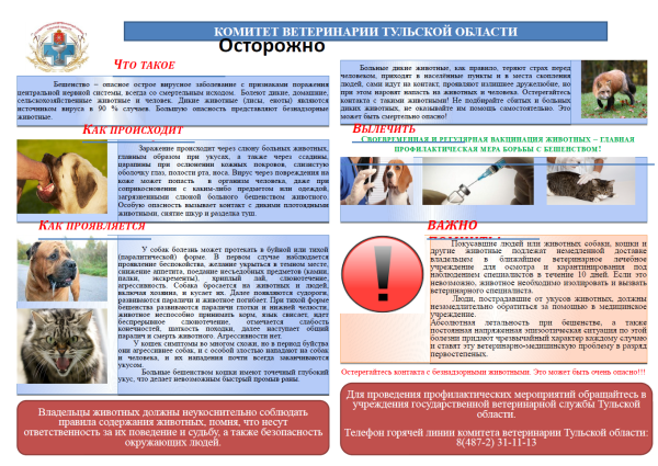 Буклет профилактика бешенства