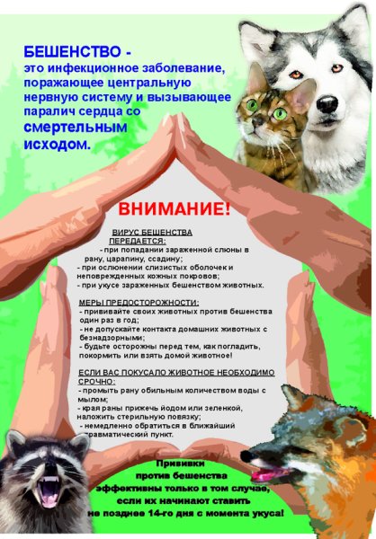 Бешенство буклет