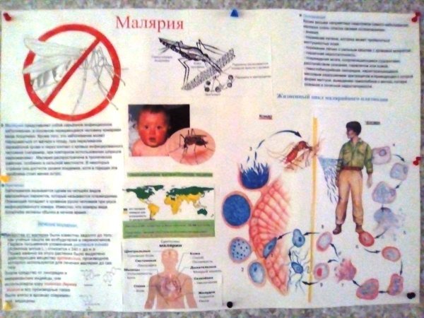 Малярия буклет