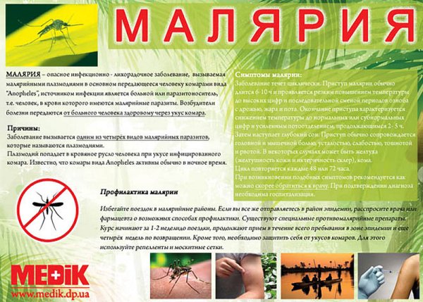 Malaria! Album Covers