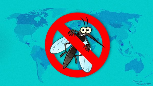 Профилактика малярии