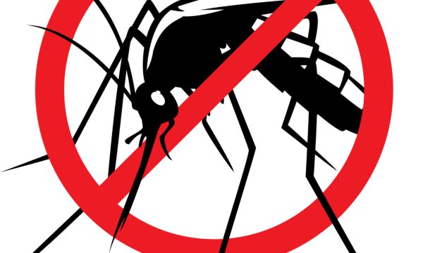 Смертельная малярия Постер