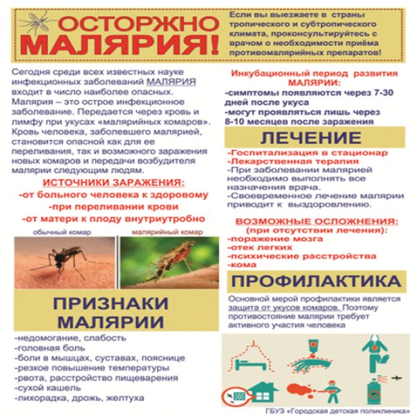 Малярия инфографика