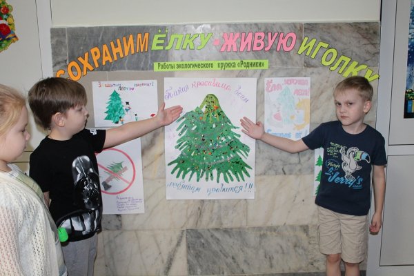 Акция сбережем елочку