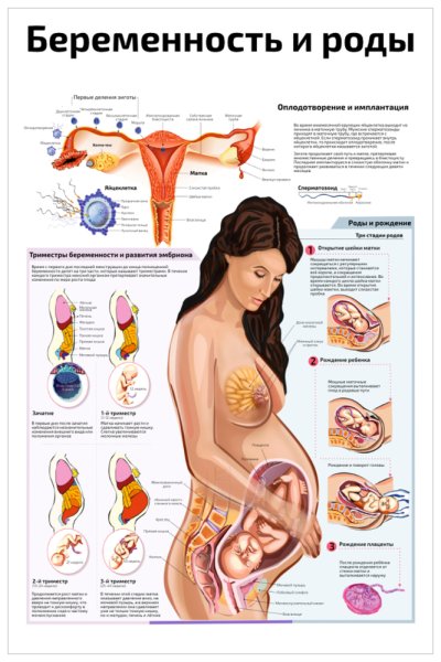 Медицинские плакаты