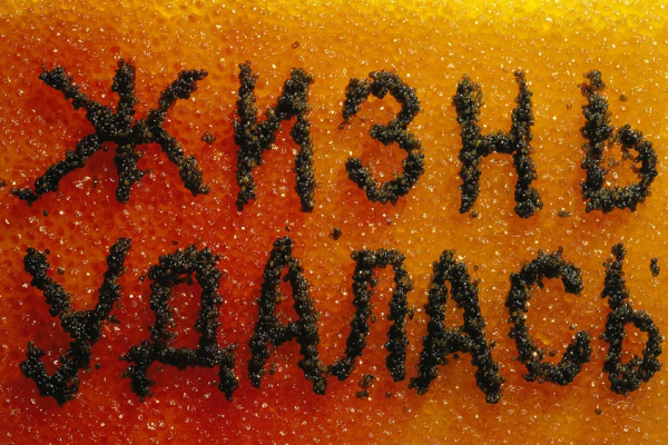 Андрей Логвин плакат жизнь удалась 1997