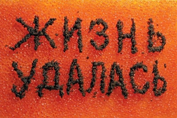 Андрей Николаевич Логвин жизнь удалась. 1997