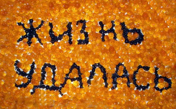 Жизнь удалась