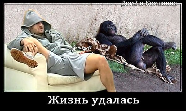 Демотиватор жизнь удалась
