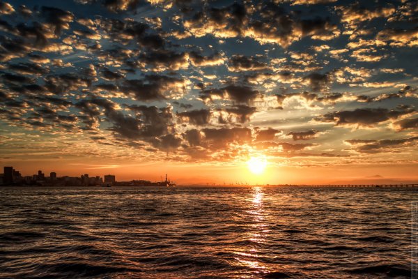 Пляж закат вектор