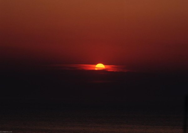 Алмазная живопись дельфины 40x50