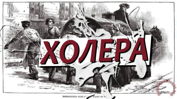Холера история возникновения