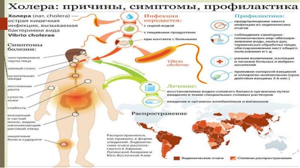 Холера механизм и пути передачи