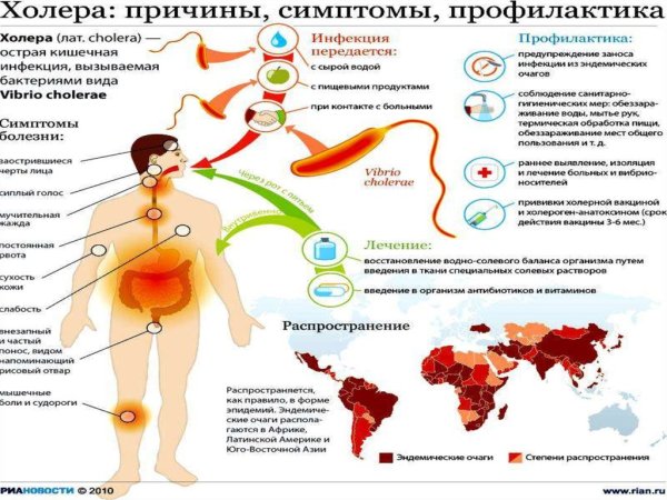 Холера профилактика заболевания