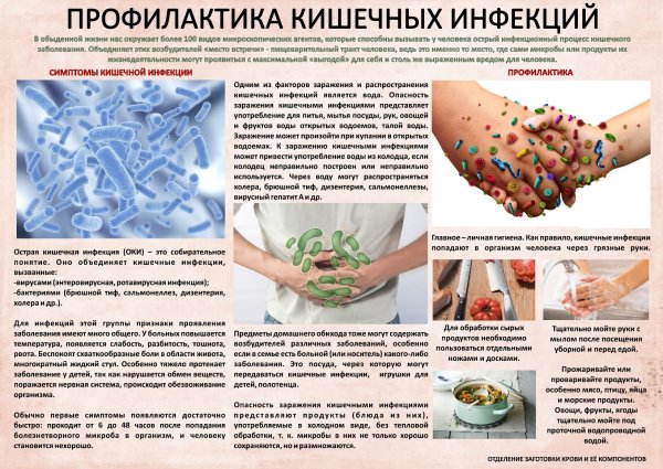 Профилактика распространения бактериальных кишечных инфекций