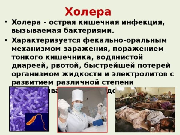 Холера источник заражения