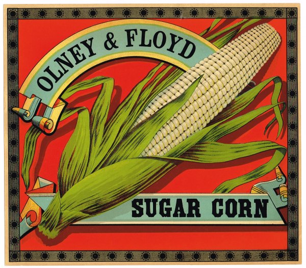 Sugar Corn