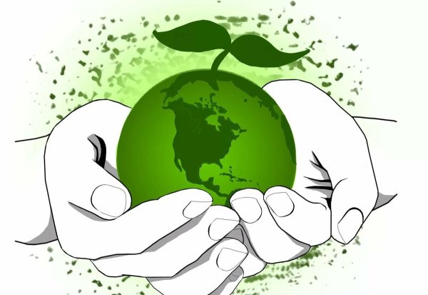 Рисунок на тему береги природу