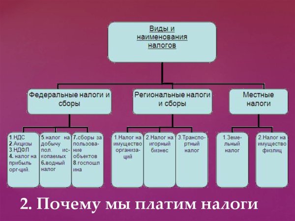 Зачем нужны налоги