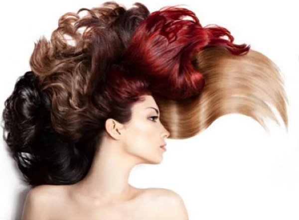 Эстель логотип