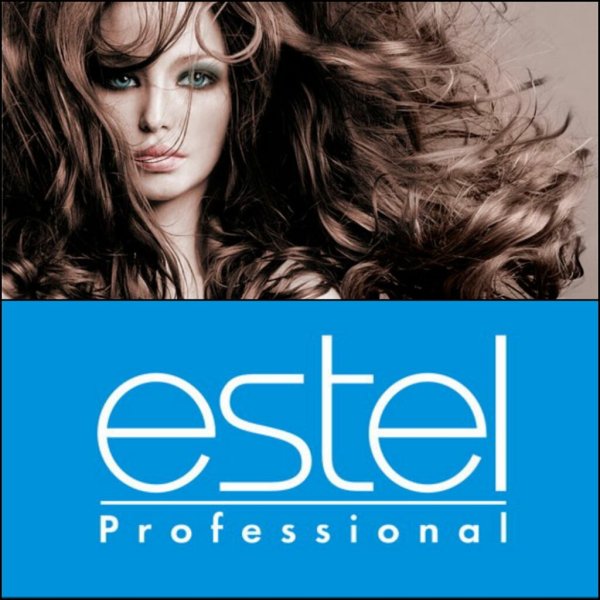 Логотип фирмы Эстель