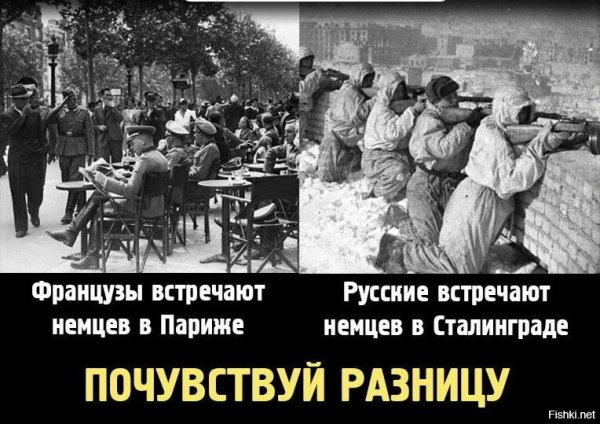 Гитлер и Сталин сравнение