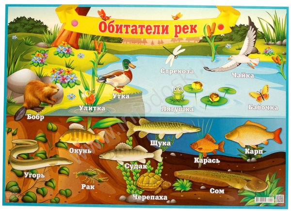 Зимняя бродилка