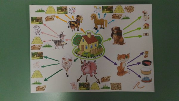 Календарь природы окружающий мир