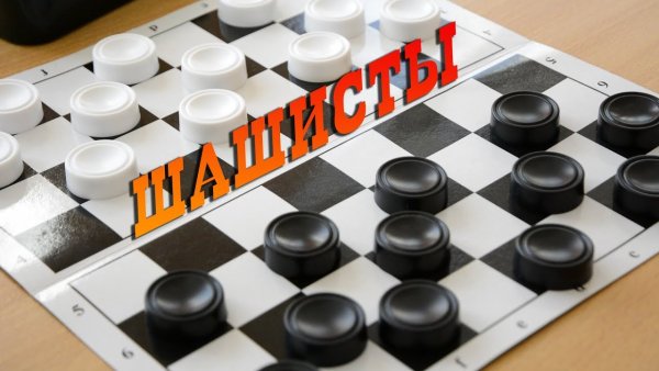 Шашки кружок для детей