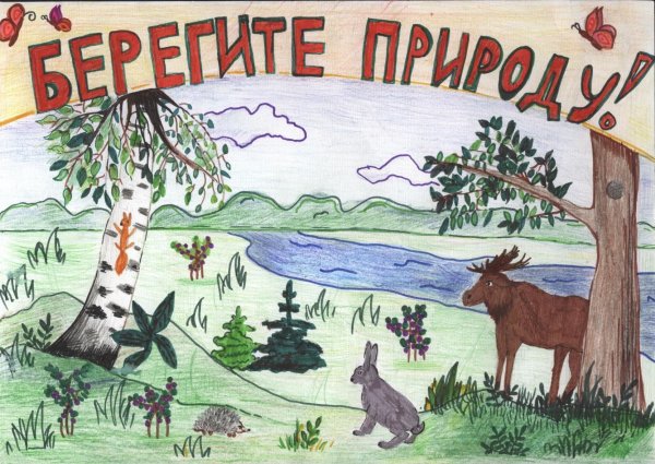 Плакат берегите животных