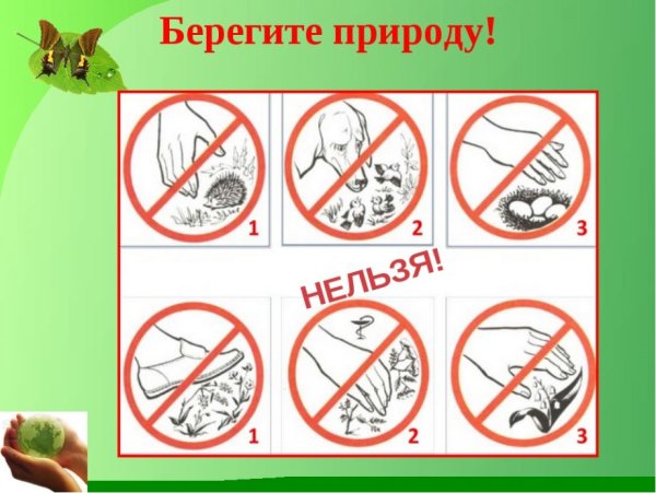 Рисунок на тему день защиты животных