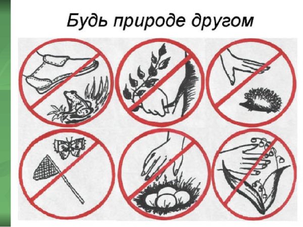 Плакат на тему защита природы