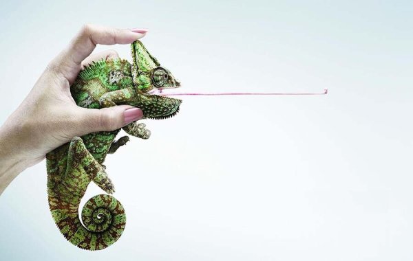 Необычная печатная реклама