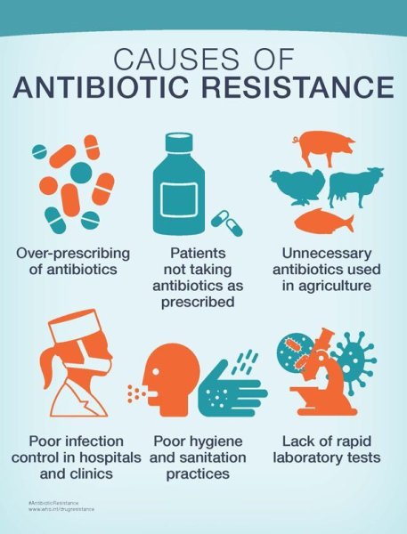 Antibiotic Resistance