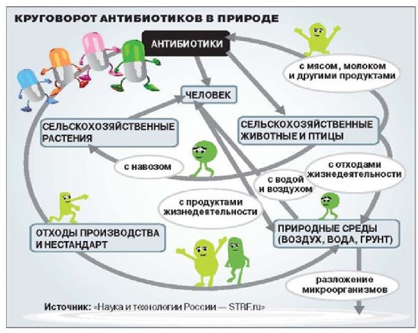 Антибиотики в пищевых продуктах